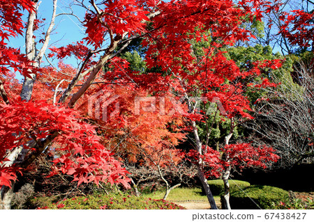 Scenery of a walk course in autumn colors in Taku City, Saga Prefecture Scenery of a walk course in autumn colors in Taku City, Saga Prefecture 67438427
