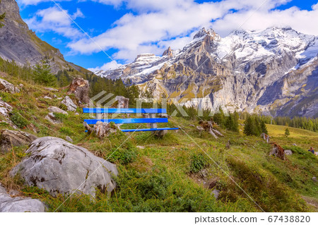 Blue bench near Oeschinnensee lake, Switzerland 67438820