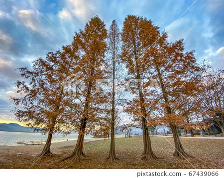 River landscape River landscape 67439066