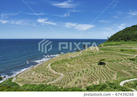 [Shiromai Senmaida]一個梯田稻田，在通往日本海的陡坡上，可以欣賞到諾託的壯麗景色！ 67439288