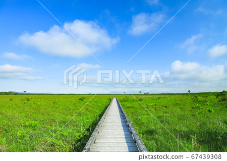 Fresh green prairie Onnenai wooden path in Kushiro Marsh National Park Fresh green prairie Onnenai wooden path in Kushiro Marsh National Park 67439308