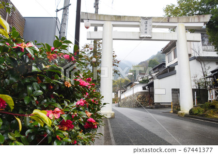 Torii of Hinagu Onsen Shrine in Yatsushiro City Torii of Hinagu Onsen Shrine in Yatsushiro City 67441377