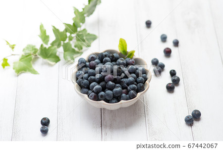 Fresh blueberries 67442067