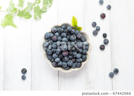 Fresh blueberries 67442068