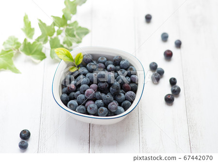 Fresh blueberries 67442070