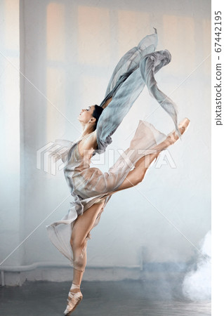 Perfect harmony fascinating our minds and eyes, ballet dancer in a jump Perfect harmony fascinating our minds and eyes, ballet dancer in a jump 67442195