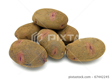 Potato (destroyer) 67442245