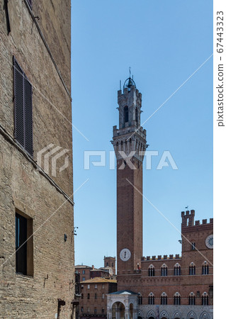 Campo square and the Campanile, Torre del Mangia 67443323