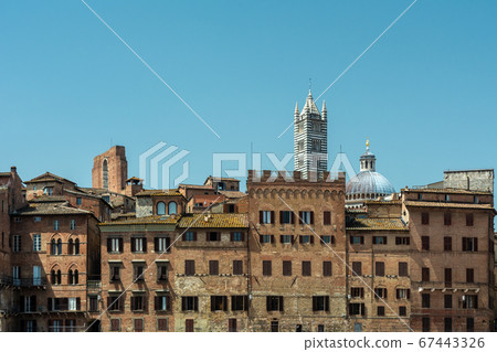 Piazza del Campo in Siena Piazza del Campo in Siena 67443326