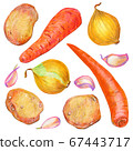 Food illustration with vegetables. 67443717