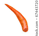 Carrot without leaves on a white background. 67443720