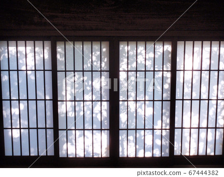 陽光麥麩 67444382