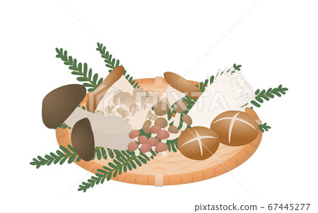 Illustration of mushrooms harvested in autumn, mushroom picking. Illustration of mushrooms harvested in autumn, mushroom picking. 67445277