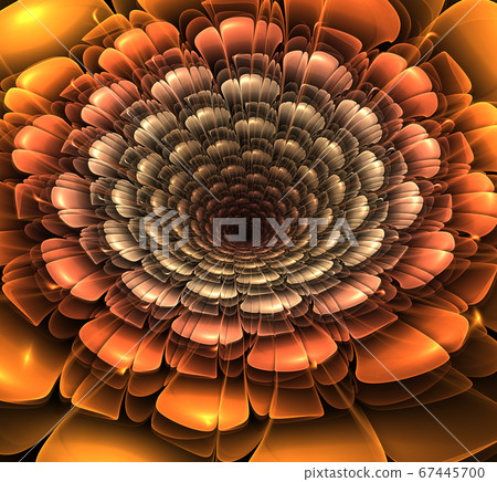 Fractal Flowers Fantasy 67445700