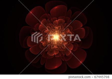 Fractal Flowers Fantasy Fractal Flowers Fantasy 67445708