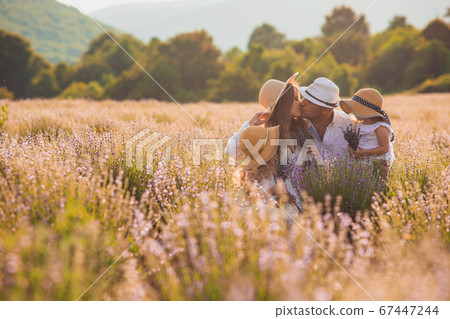 The beautiful lavender flowers fill your soul with love The beautiful lavender flowers fill your soul with love 67447244