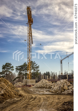 cranes cranes 67448873
