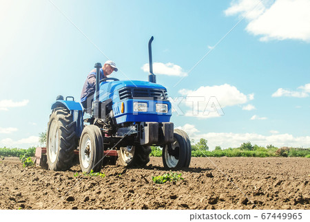 The farmer works on a tractor. Loosening the surface, cultivating the land for further planting. Grinding and loosening soil, removing plants roots from last harvest. Cultivation technology equipment. 67449965