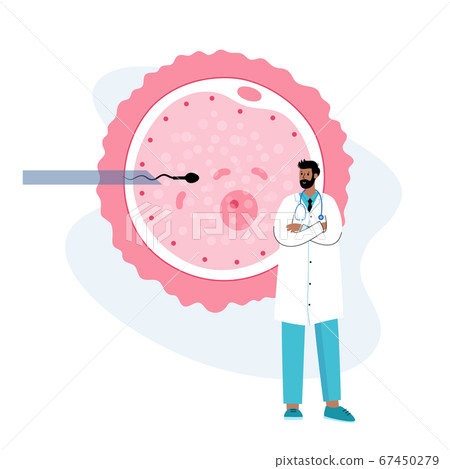 Reproductive system concept 67450279