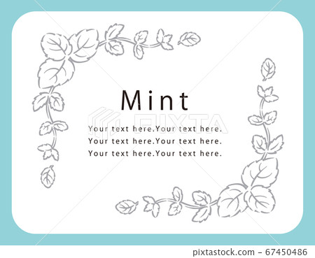 Illustration of mint that can be used for frames. Vector image. Illustration of mint that can be used for frames. Vector image. 67450486