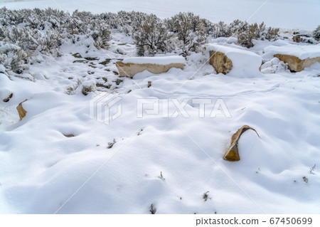 Rocky terrain and shrubbery covered in frosty snow 67450699