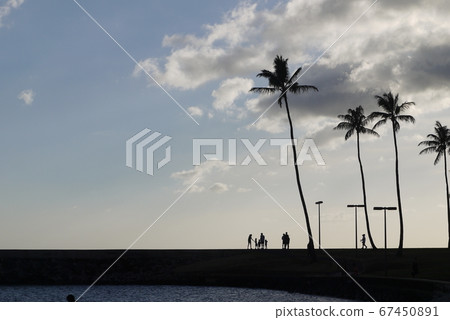 The fun of everyday Hawaii travel The fun of everyday Hawaii travel 67450891