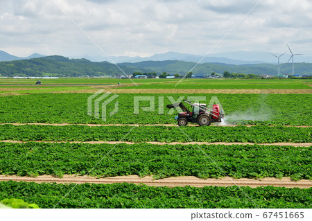 拍攝北海道江E町害蟲防治工作的夏日風景 拍攝北海道江E町害蟲防治工作的夏日風景 67451665