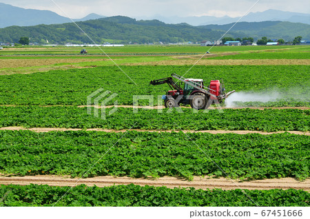 拍攝北海道江E町害蟲防治工作的夏日風景 67451666