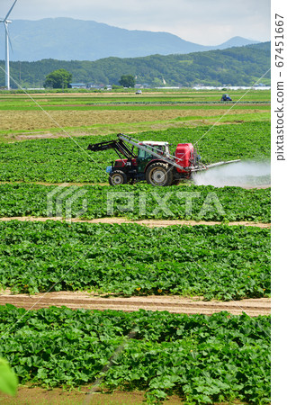 拍攝北海道江E町害蟲防治工作的夏日風景 拍攝北海道江E町害蟲防治工作的夏日風景 67451667