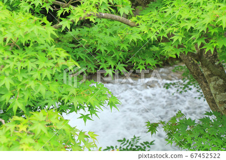 Kaede no Aoba Summer Ushibushigawa Kaede no Aoba Summer Ushibushigawa 67452522