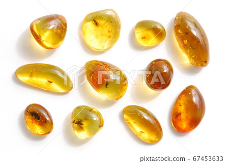 Insect-filled amber Insect-filled amber 67453633