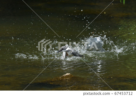 Clear stream Yamasemi Clear stream Yamasemi 67453712