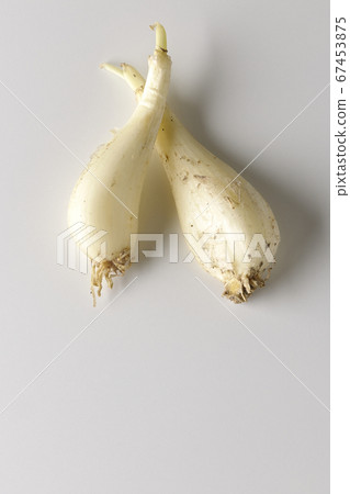 在白色背景上新鮮採摘的Rakkyo 在白色背景上新鮮採摘的Rakkyo 67453875