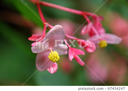 Akikai Pass of the Shukudanigawa River Akikai Pass of the Shukudanigawa River 67454247