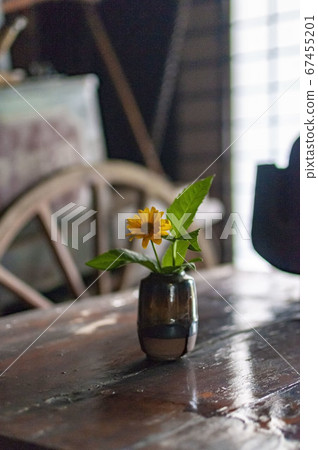 A single yellow flower in a vase [vertical] 67455201