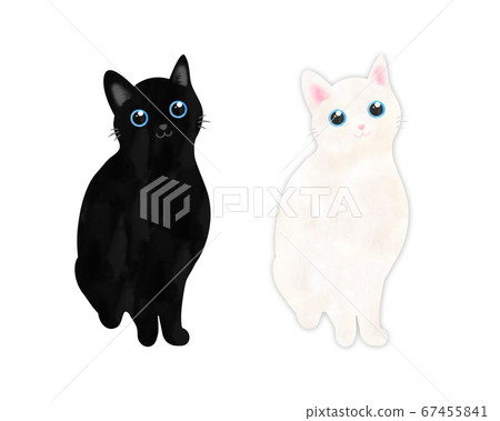 黑貓和白貓 67455841