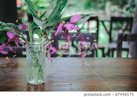 pink flower & green leaves in glass bottle pink flower & green leaves in glass bottle 67456575