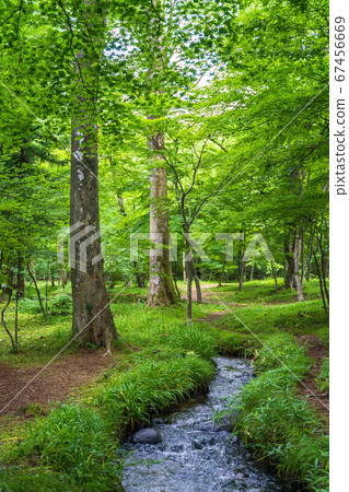 Fukushima City, Fukushima Prefecture Fukushima City, Fukushima Prefecture 67456669