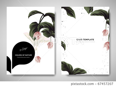 Greenery greeting/invitation card template design, pink Medinilla magnifica flowers Greenery greeting/invitation card template design, pink Medinilla magnifica flowers 67457207