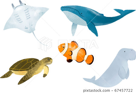 Sea creatures popular Sea creatures popular 67457722