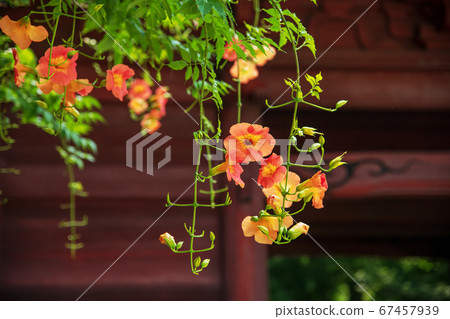 Kamakura Myohonji Nitenmon Kamakura Myohonji Nitenmon 67457939