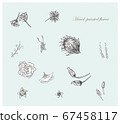 Hand-drawn Flowers 2 67458117