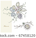 Dried flower 67458120