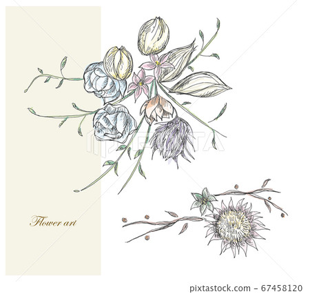 Dried flower Dried flower 67458120