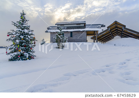 Frosty winter scenery with outdoor Christmas tree Frosty winter scenery with outdoor Christmas tree 67458629