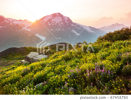 Mountains in Canada Mountains in Canada 67458793