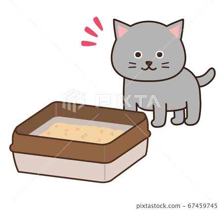 Gray cat finding a toilet Gray cat finding a toilet 67459745