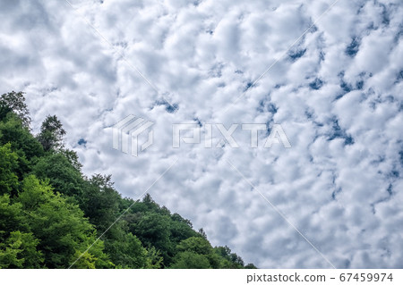 Dense textured clouds over the green forest 67459974
