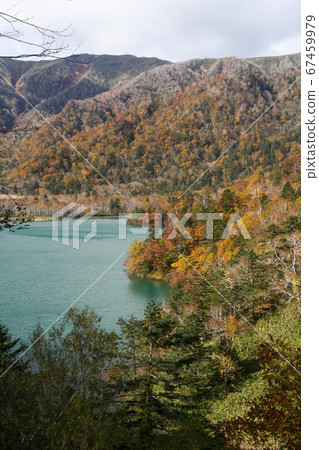 北海道秋天千歲市支Shi湖秋天的顏色 北海道秋天千歲市支Shi湖秋天的顏色 67459979