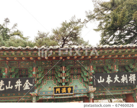 梵魚寺波摩薩 梵魚寺波摩薩 67460026